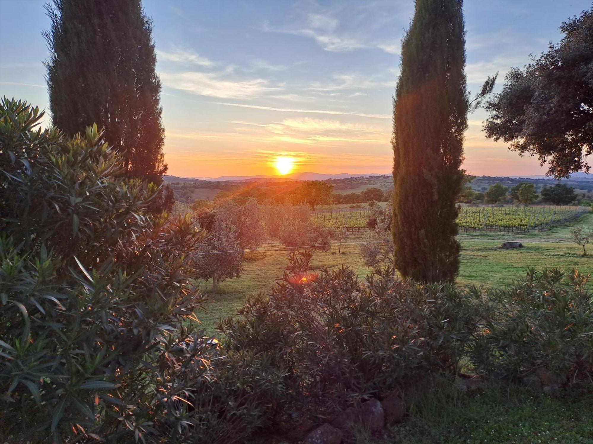 Podere Belvedere Villa Classic Tuscan Magliano in Toscana Exterior photo